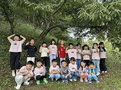 밤줍기 체험