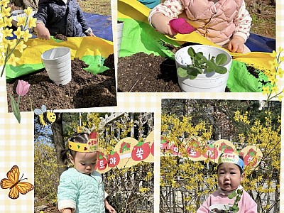 초록초록아!! 쑥쑥 자라라!!~