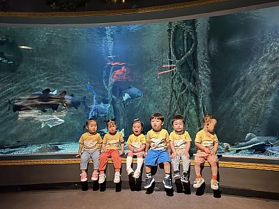 신나는 바닷속 여행, 아쿠아리움에 다녀왔어요!