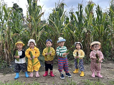 옥수수 밭으로 출동!!